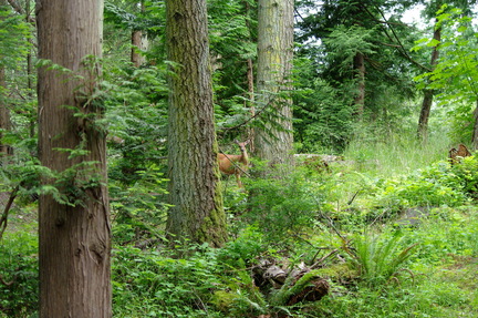 2013-06-14 10-13-12 - BUTL0032